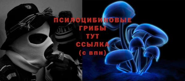 стафф Горно-Алтайск