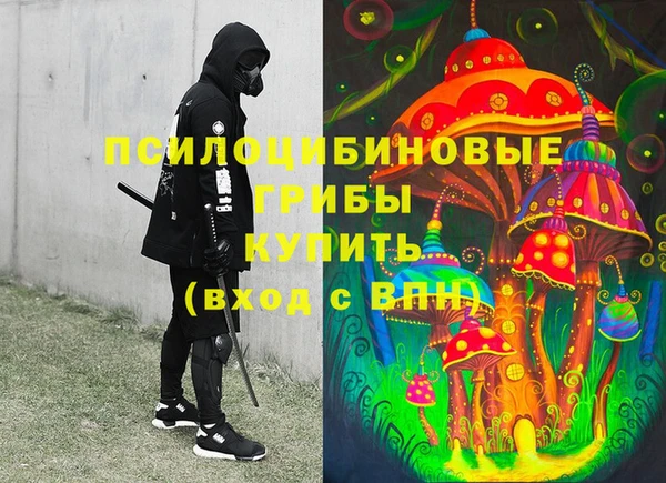 альфа пвп Горнозаводск