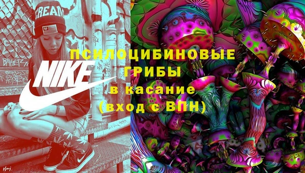 стафф Горно-Алтайск