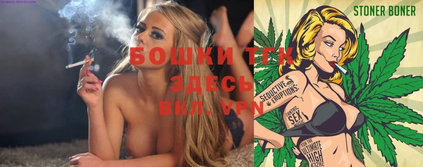 альфа пвп Горнозаводск