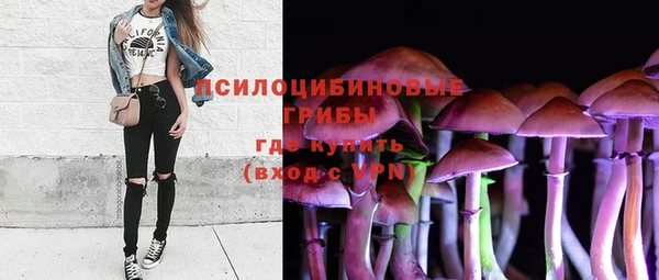 стафф Горно-Алтайск